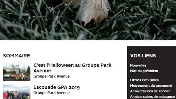 Employees Newsletter